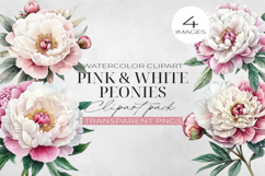 Pink and white Peony Flowers Clipart, PNG. Product Image 1