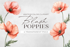 Watercolor Blush Poppy Flowers Clipart, PNG. Product Image 1