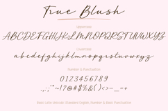 True Blush - Handwritten Signature Font Product Image 18