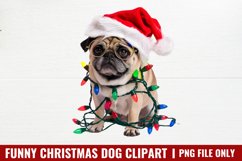 Funny Christmas Dog Watercolor Clipart PNG Product Image 1