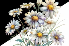 Daisy Floral Digital Downloads, Tshirt Design PNG Product Image 3