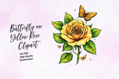 Yellow rose with butterfly watercolor clipart sublimation Product Image 1