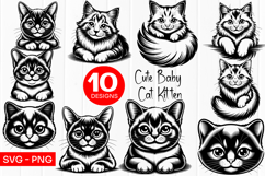 Cute Baby Kitten Clipart SVG PNG Product Image 1