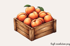 Summer Decorations Clipart PNG Product Image 1