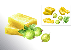 Gooseberry. Watercolor collection Product Image 19