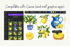 Mediterranean Lemon Watercolor Clipart Product Image 8