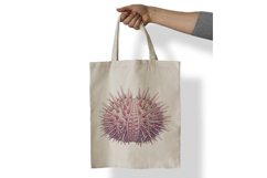 Underwater Sea Urchin Spiky Shell Pastel Colors PNG Summer Product Image 7