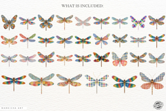 Summer Gingham Dragonfly Clipart Product Image 4