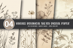 Vintage Botanical Sketch Digital Paper Product Image 1