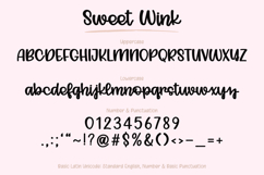Sweet Wink - Handwritten Script Font Product Image 18