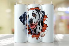 Dalmatian Peeking from the Cracked wall Tumbler Wrap Product Image 1