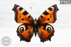 Halloween Butterfly Clipart - Halloween Sublimation PNG Product Image 1
