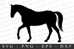 Horse SVG | SVG Cut files | Cricut Product Image 1