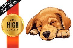 Cute Sleep Dog Sublimation PNG Design - Sublimation Design Product Image 1