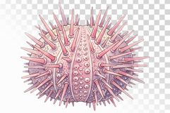 Underwater Sea Urchin Spiky Shell Pastel Colors PNG Summer Product Image 1