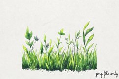 Watercolor Grass Borders Clipart PNG Product Image 1