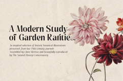 Pure Motif - An Elevated Serif Font Product Image 18