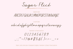 Sugar Flick - Handwritten Signature Font Product Image 18