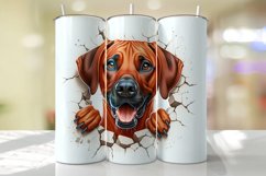 Rhodesian Ridgeback Peeking Cracked wall Tumbler Wrap Product Image 1