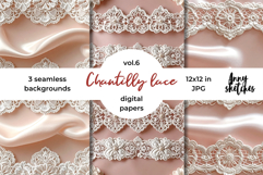 Coquette Lace Valentine Digital Paper Kit Rococo Patterns Product Image 1
