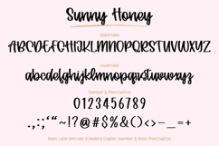 Sunny Honey - Handwritten Script Font Product Image 18