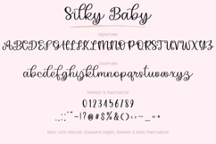 Silky Baby - Handwritten Script Font Product Image 18