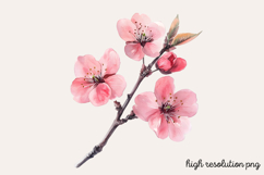 Watercolor Spring Garden Clipart PNG Product Image 1