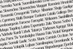 Thereon - Modern Romantic Serif Font Product Image 18