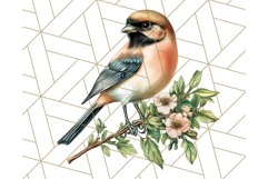 Vintage Song Bird Clipart PNG, Botanical Bird Art Clip Art Product Image 2