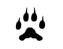Cat svg, Funny Cats Vector Cut Files Product Image 24