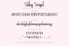 Silky Script - Handwritten Script Font Product Image 18