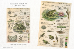 Summer Frog Pond Junk Journal Pages Product Image 3