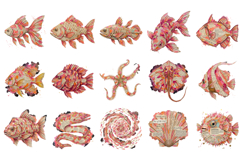 Books Pages Coastal Life Clipart Product Image 6