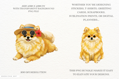 Summer Cute Dog Clipart Product Image 2