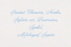 ScribeTales - Elegant Organic Script Product Image 18