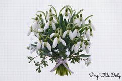 Snowdrops Clipart PNG Product Image 1