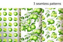 Lime citrus. Watercolor collection Product Image 19