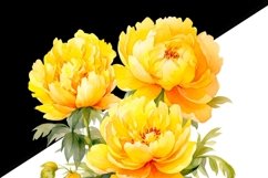 Yellow Peonies PNG Digital Download Product Image 3