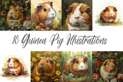 18 Guinea Pig Rodent Illustrations JPG Collection Product Image 3