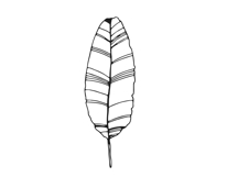 Palm Leaves svg, Botanical png Product Image 23