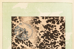 50 Vintage Japanese Ornamental Designs Images Bundle Product Image 5