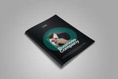 Indesign Business Company Product Image 6