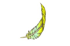 Color Decorative Bird Element Feather Vintage Vector Product Image 1