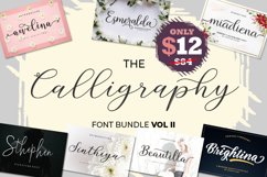 The Calligraphy Font Bundle Vol ll Product Image 1