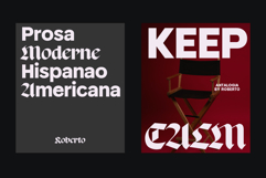 Contrue Fonte | Font Duo Product Image 11