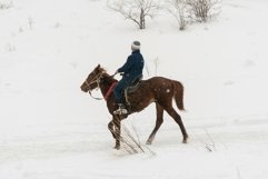 Man on a horse in the winter mountains Product Image 1