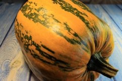 pumpkin varieties dacha on the table Product Image 1