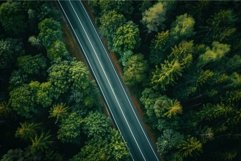 Aerial view of empty road through lush forest Product Image 1