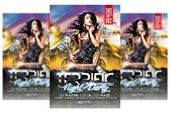 Night Party Flyer Product Image 1