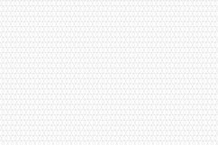 Ornamental seamless patterns. Product Image 4